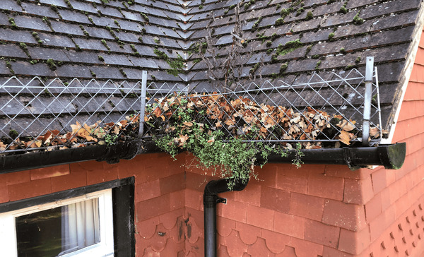 heavily blocked gutters causing damp in property